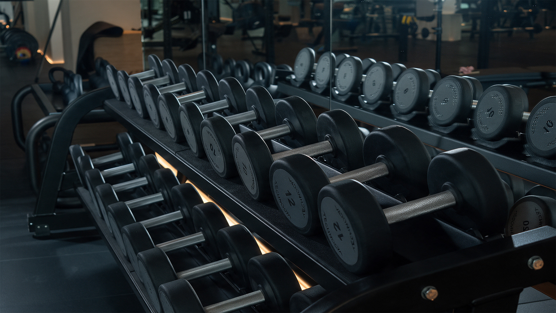 SW1 Fitness